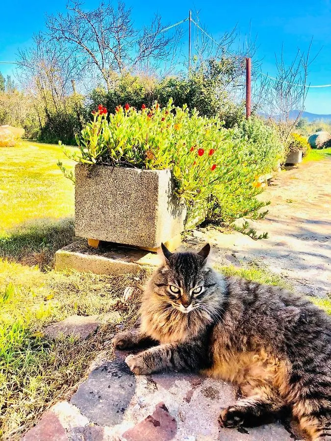 Agriturismo Il Paradiso Iglesias Vakantieboerderij